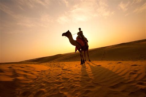 EVENING DESERT SAFARI WITH QUAD BIKE Gulf Discovery Tours