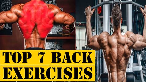 7 Best Back Exercises Of All Time Xhealthzone Youtube