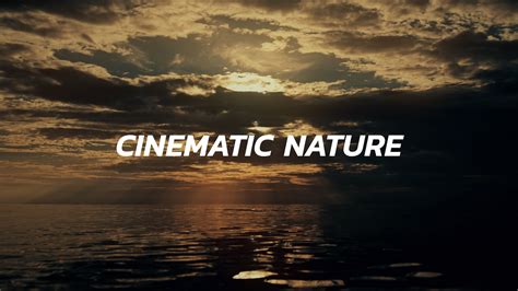 Cinematic Nature Stock Footage | Story Loop