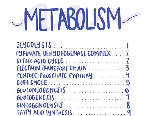 Mcat Metabolism Pathways Pdf Edutestlab