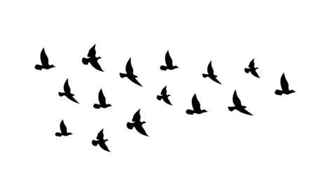 Flying Bird Silhouette Vector Art PNG Images | Free Download On Pngtree