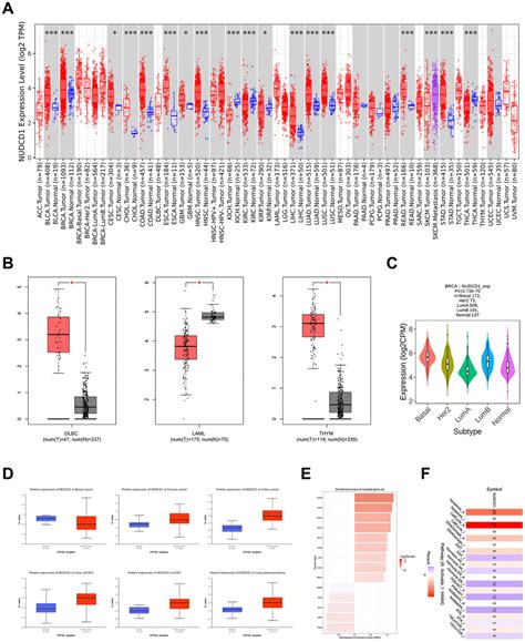 Identifying The Role Of Nudcd In Human Tumors From Clinical And