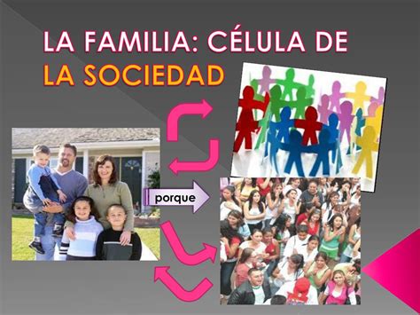 Ppt La Familia C Lula De La Sociedad Powerpoint Presentation Free