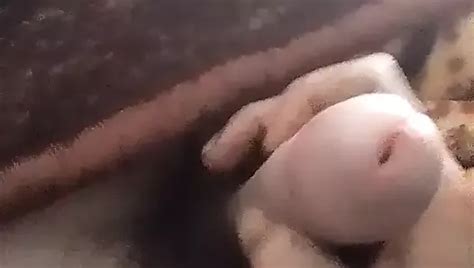 Old Gay Couple From Germany Free Daddy Porn Video D XHamster