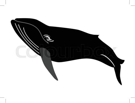 Silhouette of whale | Stock vector | Colourbox