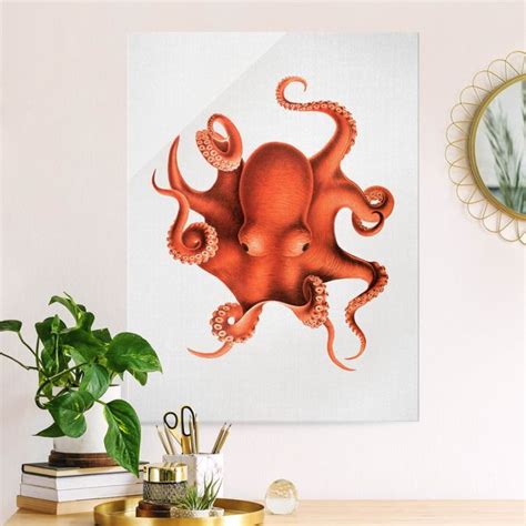 Glasbild Vintage Illustration Roter Oktopus Hochformat