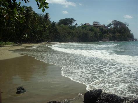 THE 10 BEST Tobago Beaches (2025) - Tripadvisor