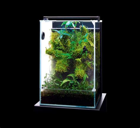 Dooa System Paluda Aquarium Onlineshop Aquascapes Garnelen