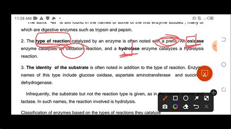 Enzymes And Vitamins YouTube