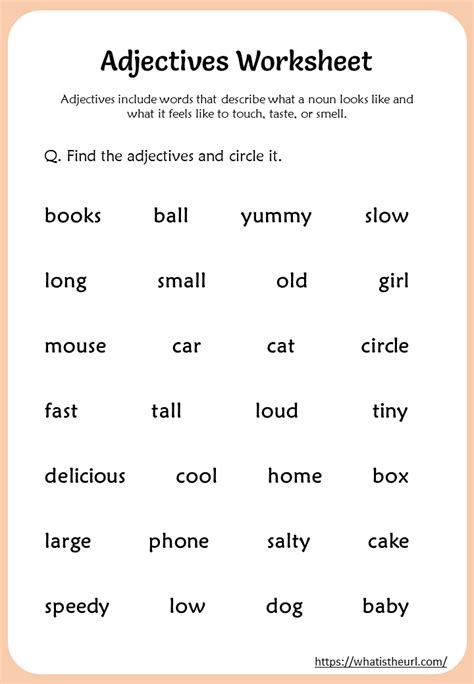 Find The Adjectives St Grade