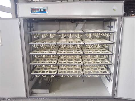 Big Capacity Automatic 180pcs Ostrich Eggs Incubator For Sale Buy