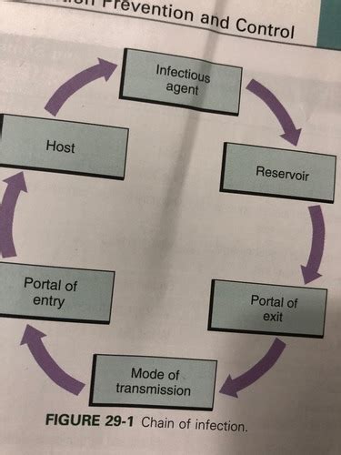 Infection Prevention And Control Flashcards Quizlet