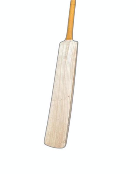 Ncw English Willow Inch Short Handle Cricket Bat Willow Grade A