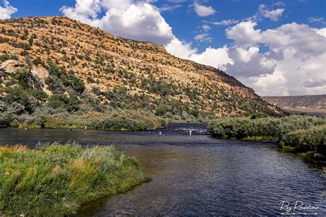 San Juan River New Mexico Fly Fishing Images & Tips | Fish Photos ...