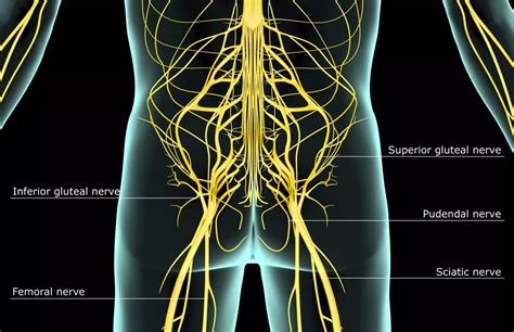 The Common Symptoms of Neuralgia – Carolina Pain Scrambler Center