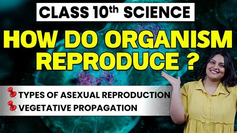 How Do Organisms Reproduce Types Of Asexual Reproduction Class 10