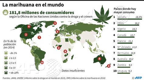 Legalizaci N De La Marihuana