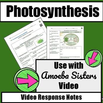 Photosynthesis Amoeba Sisters Video Response Sheet by Science Surroundings