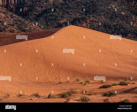 Star sand dunes hi-res stock photography and images - Alamy