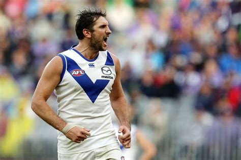 Garry Lyon labels North Melbourne "team of the year" - AFL News - Zero ...