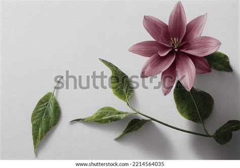 Flowers Hand Drawn Pencil Drawingart 3d Stock Illustration 2214564035 ...