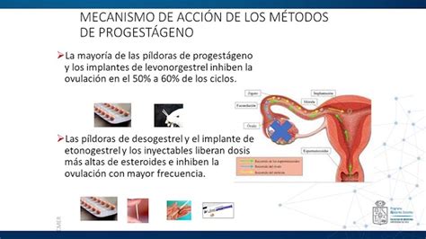 Métodos anticonceptivos todo lo que necesitas saber Servientrega Perú