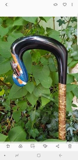 Buffalo Crook With Carved Kingfisher By Paul Daunt Cane Stick