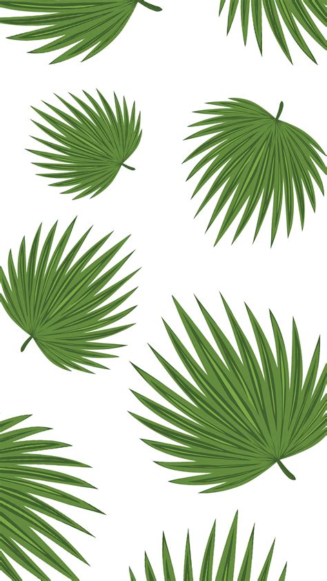 [100+] Minimalist Plant Wallpapers | Wallpapers.com