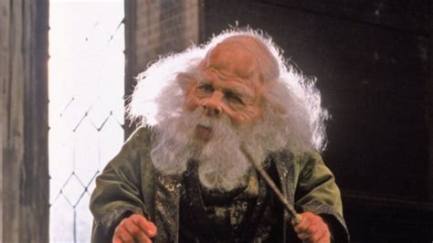 Harry Potter's Professor Flitwick Was A Role Warwick Davis Felt ...