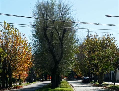 elRecado Lunes se espera una mínima de 5C para Miramar y zona