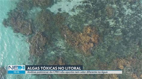 V Deo Pesquisadores Investigam Fen Meno Da Mar Vermelha Em Praias De