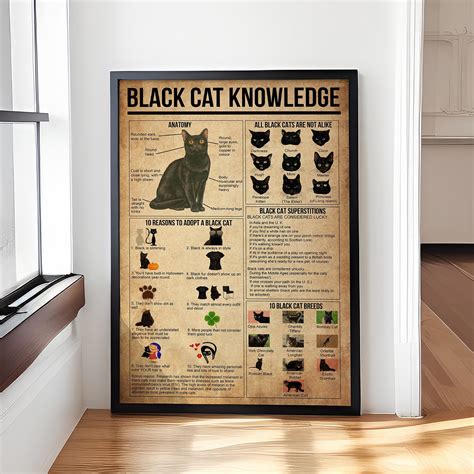 Black Cat Knowledge Poster Vintage Knowledge Poster - Etsy