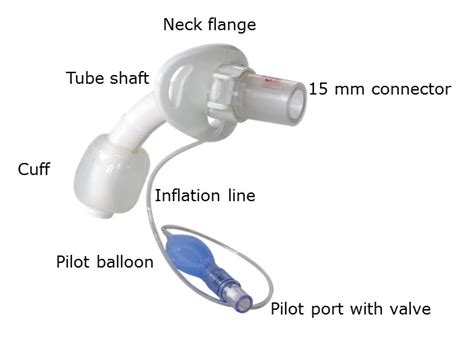 Adult Disposable Sterile Medical Pvc Tracheostomy Tube With 54 Off