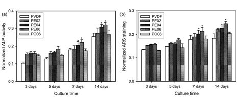 A Alp Activity And B Quantitative Calcium Deposition Of Mc3t3 E1 Download Scientific