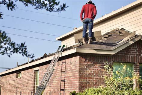 8 Best Roofing Contractors In Florida