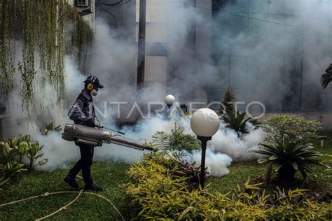 Kasus Dbd Di Indonesia Antara Foto