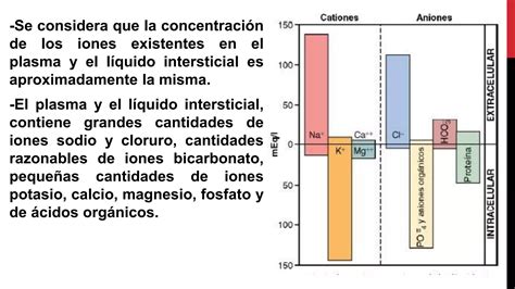 Los Compartimientos Del Líquido Corporal Líquidos Extracelular E Intracelular Edema Ppt