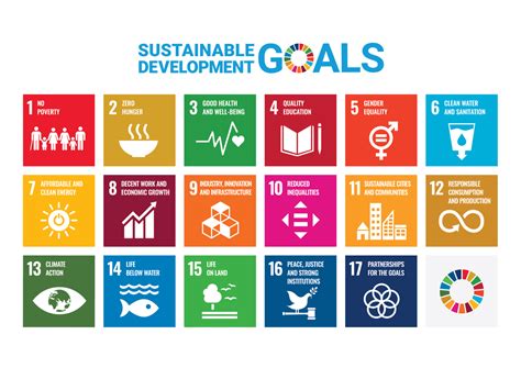 Introducing Sustainable Development Goals Leaving No One Behind