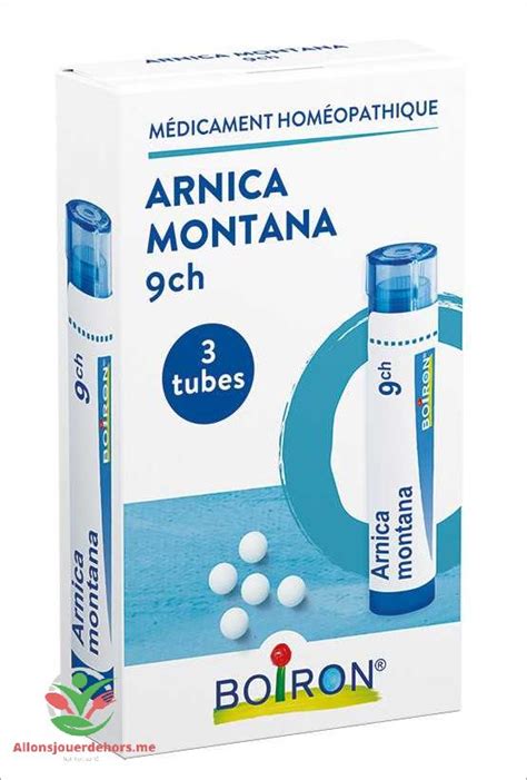 Arnica Montana Ch Les Bienfaits Pour Votre Sant Et Votre Bien Tre