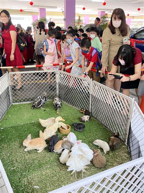 petting zoo animal with 4 letters 7