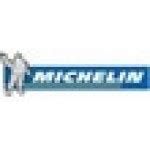 Купить моторезину Michelin