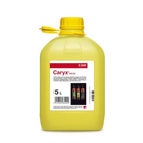 Caryx 240 SL 5l Cena Opinie Zalety We Frusto