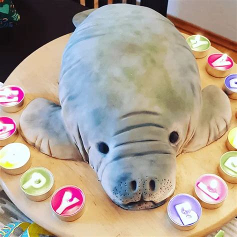 Manatee Cake Design Images Manatee Birthday Cake Ideas Lion