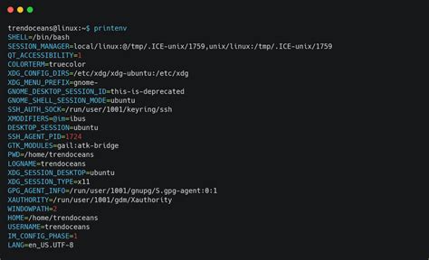 How to Set Environment Variables in Linux - TREND OCEANS