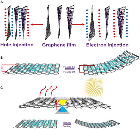 Frontiers Tunable Deformed Graphene Layers For Actuation