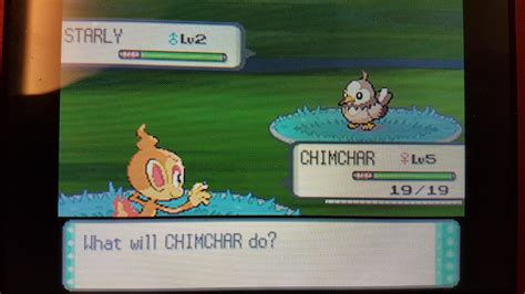 [Gen4] Shiny fail! Got an impossible to catch shiny starly! I know that the image is bad but i ...