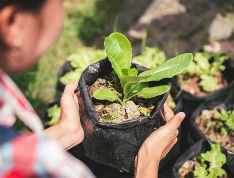gardening grow bags 7