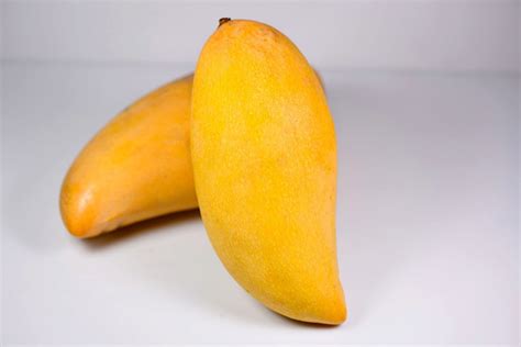 Nam Doc Mai Mango Fruit Tree Buy Online At Ladybird Nursery