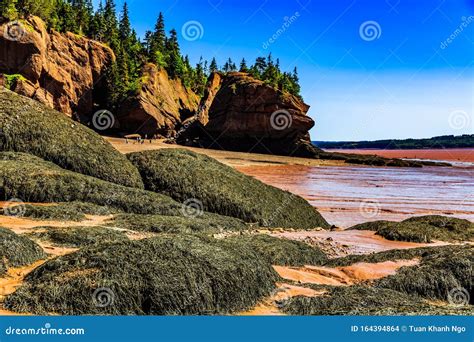 Hopewell Rocks Park New Brunswick Canada Stock Photo Image Of