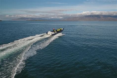 2024 Reykjavik Puffin Express By Rib Speedboat